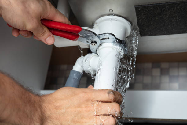 Best Professional water damage repair  in Phillipsburg, KS