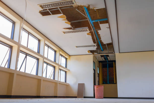 Best Water damage restoration experts  in Phillipsburg, KS
