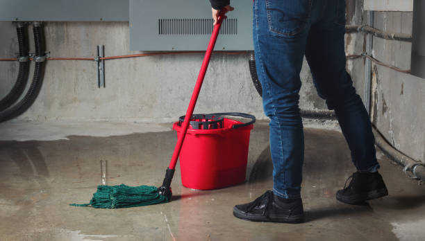 Best Flooded house restoration  in Phillipsburg, KS