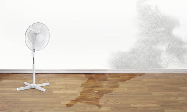 Water damage restoration experts in KS